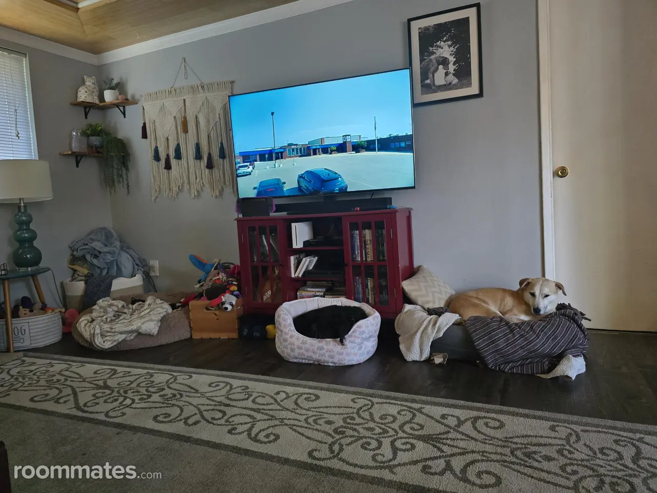 Profile photo 2 of 4