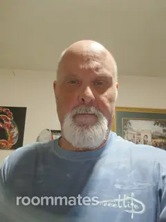 Roommate looking New Orleans, LA, $600