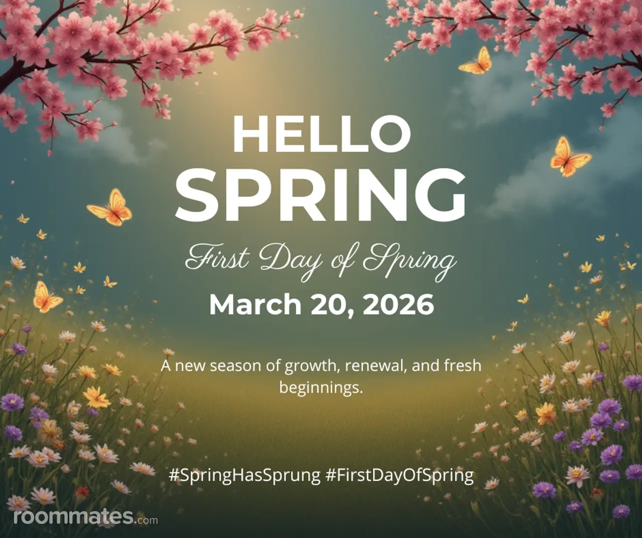 Profile photo 1 of 1