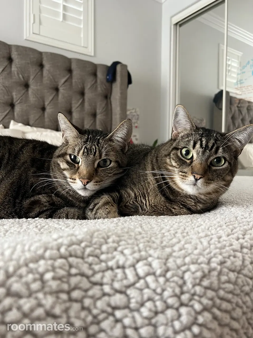 Profile photo 11 of 12