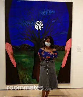 Roommate looking Lansing, MI, $1100