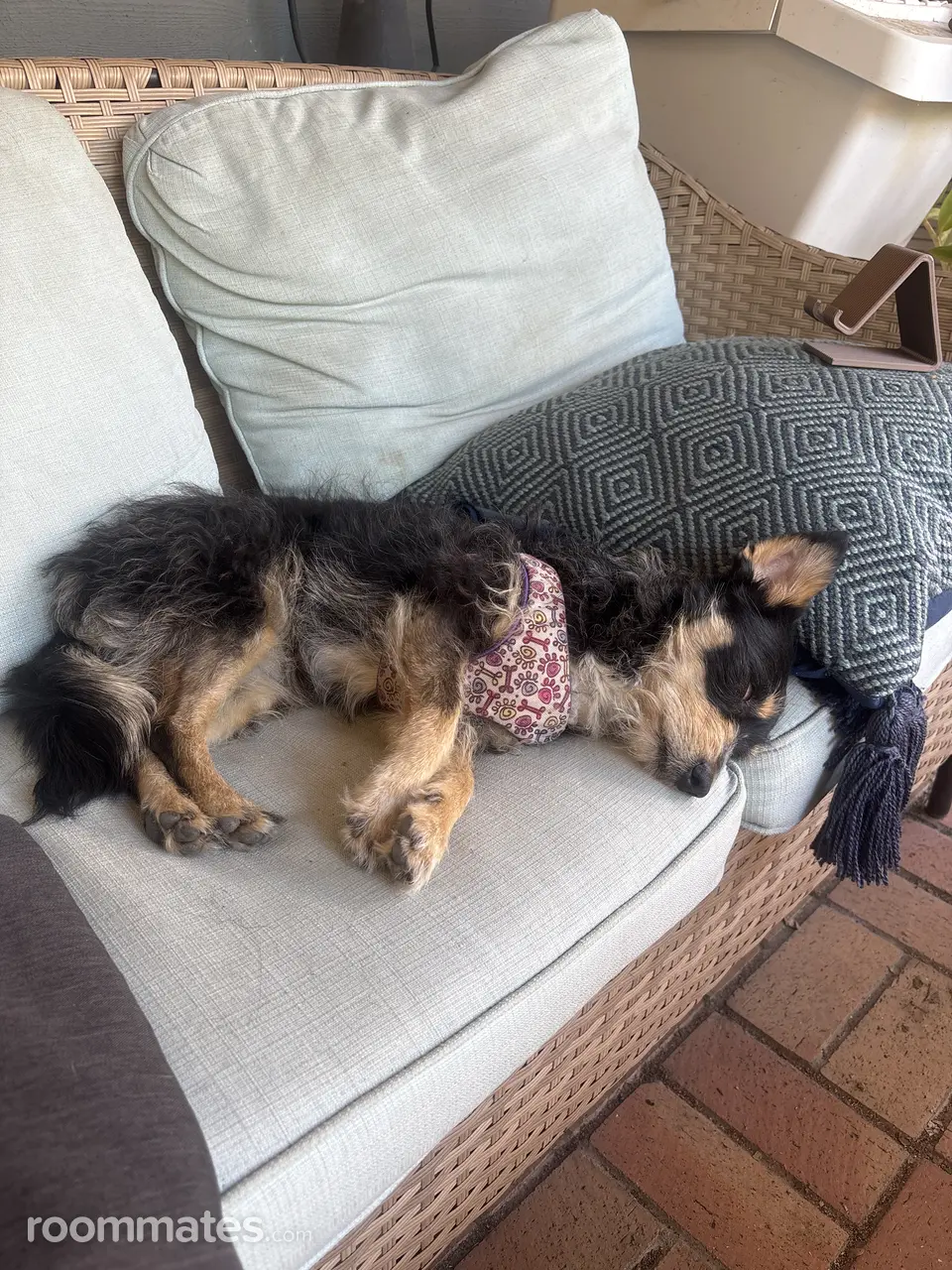 Profile photo 2 of 2