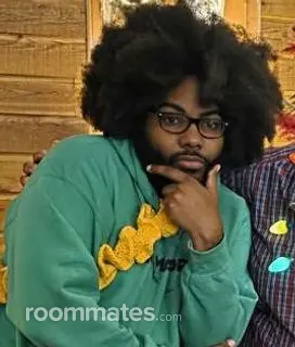 Roommate looking New York City, NY, $1300