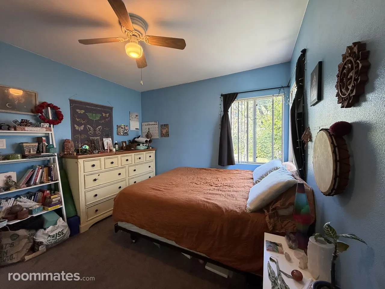 Profile photo 8 of 11