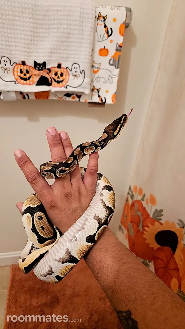 Profile photo 2 of 6