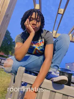 Roommate looking Norfolk, VA, $600