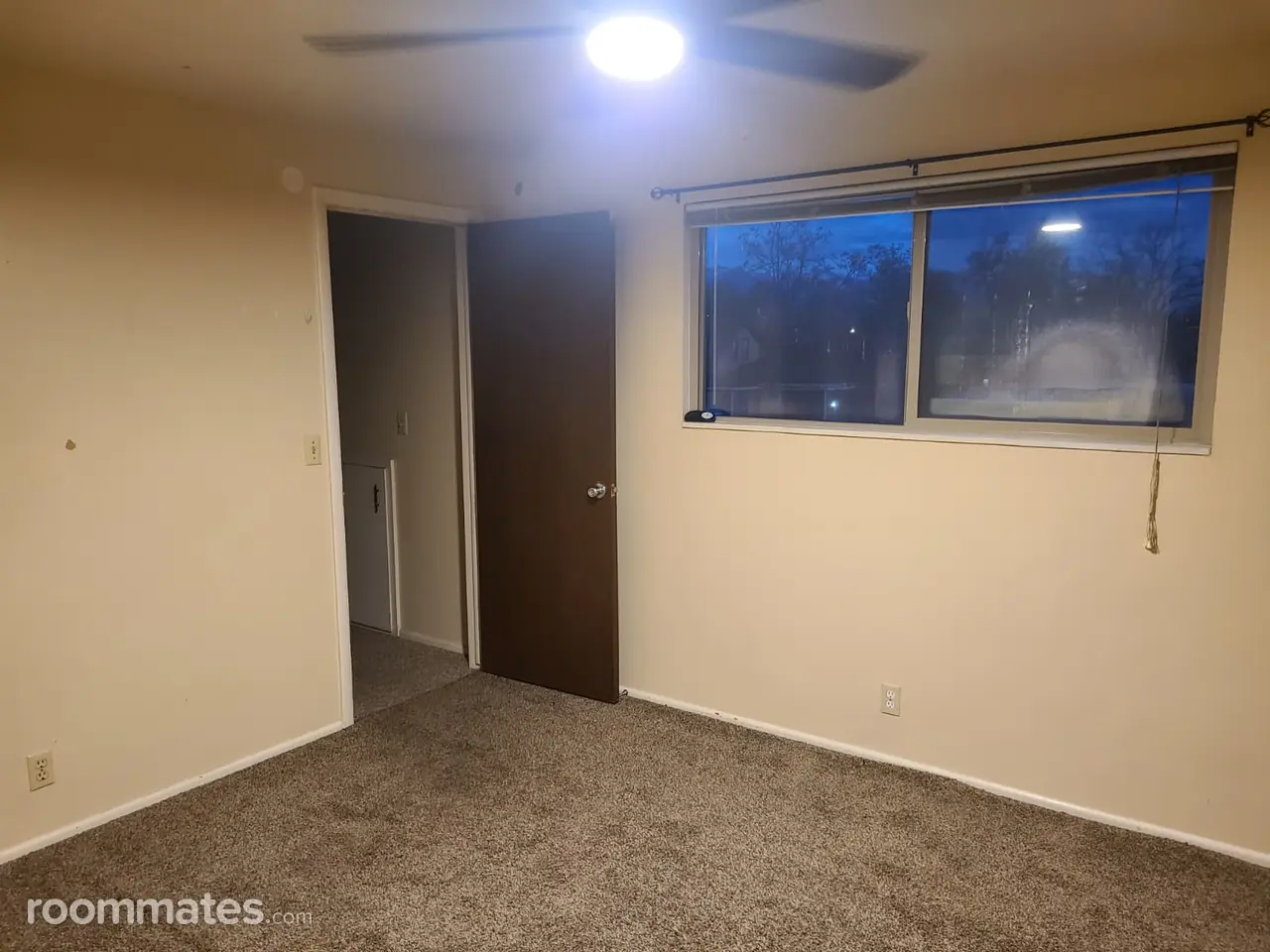 Profile photo 5 of 6