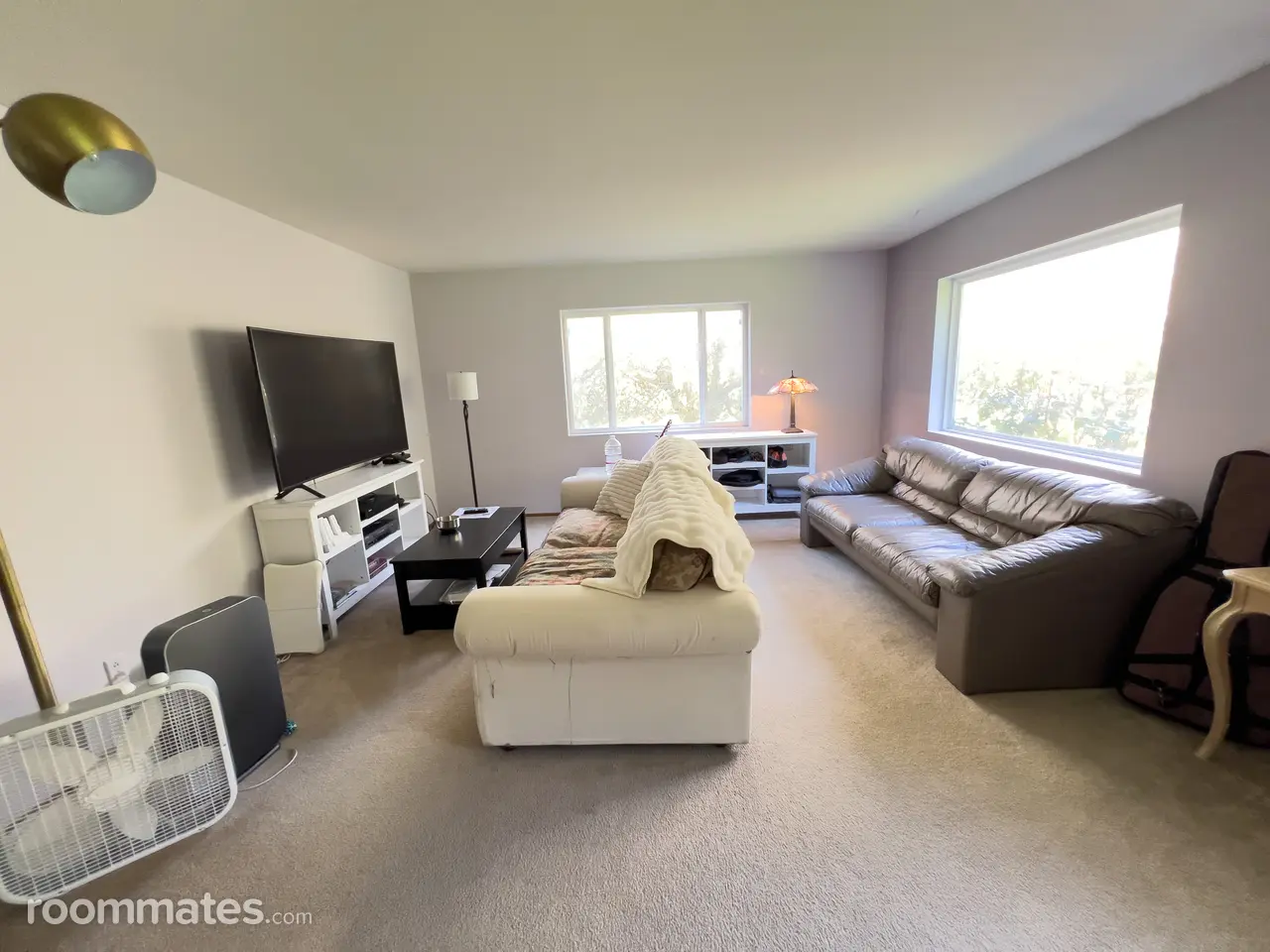 Profile photo 3 of 8