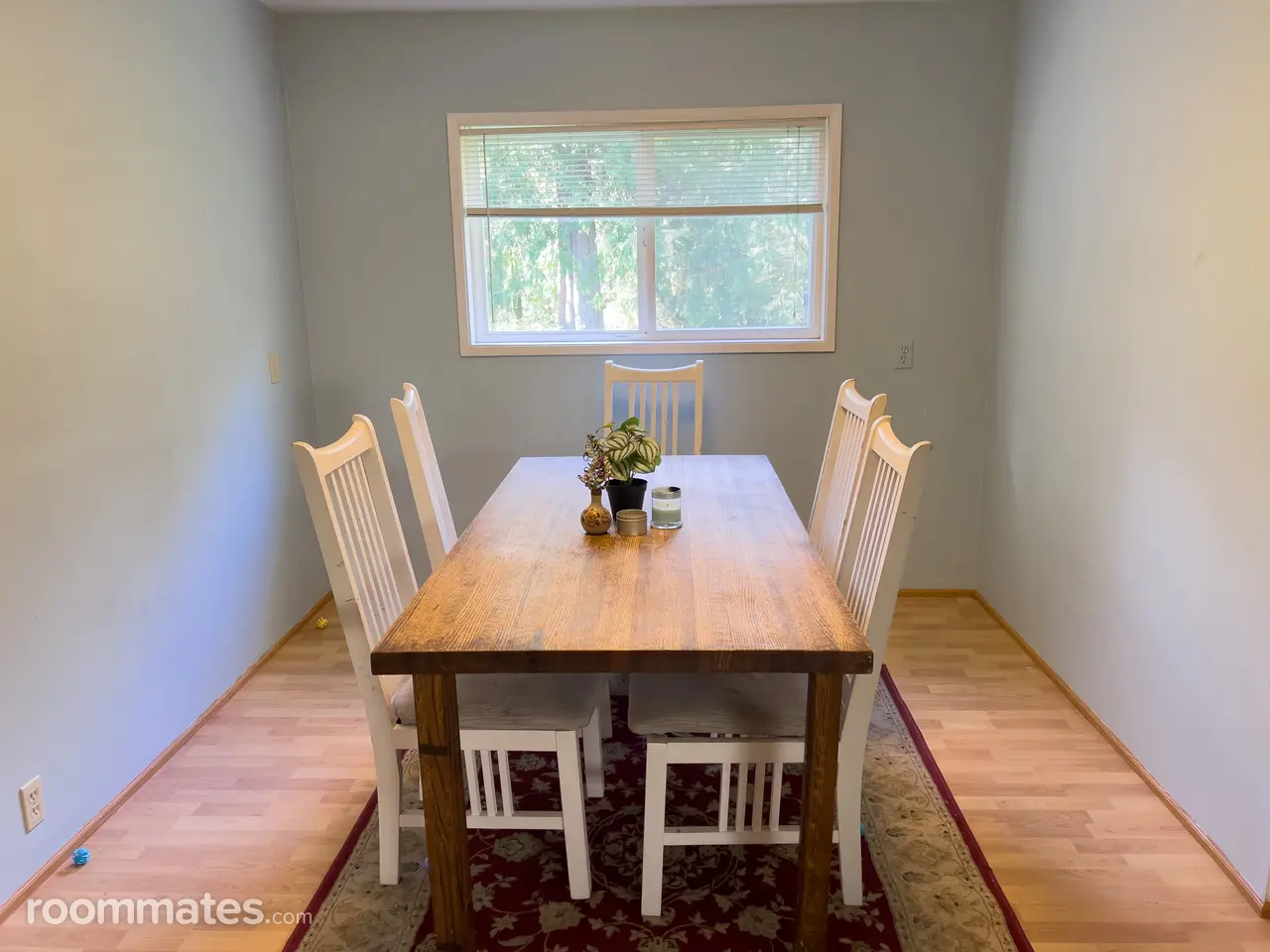 Profile photo 4 of 8