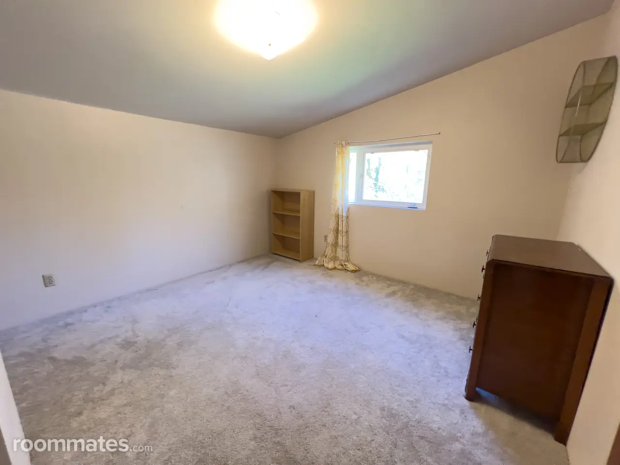 Profile photo 6 of 8