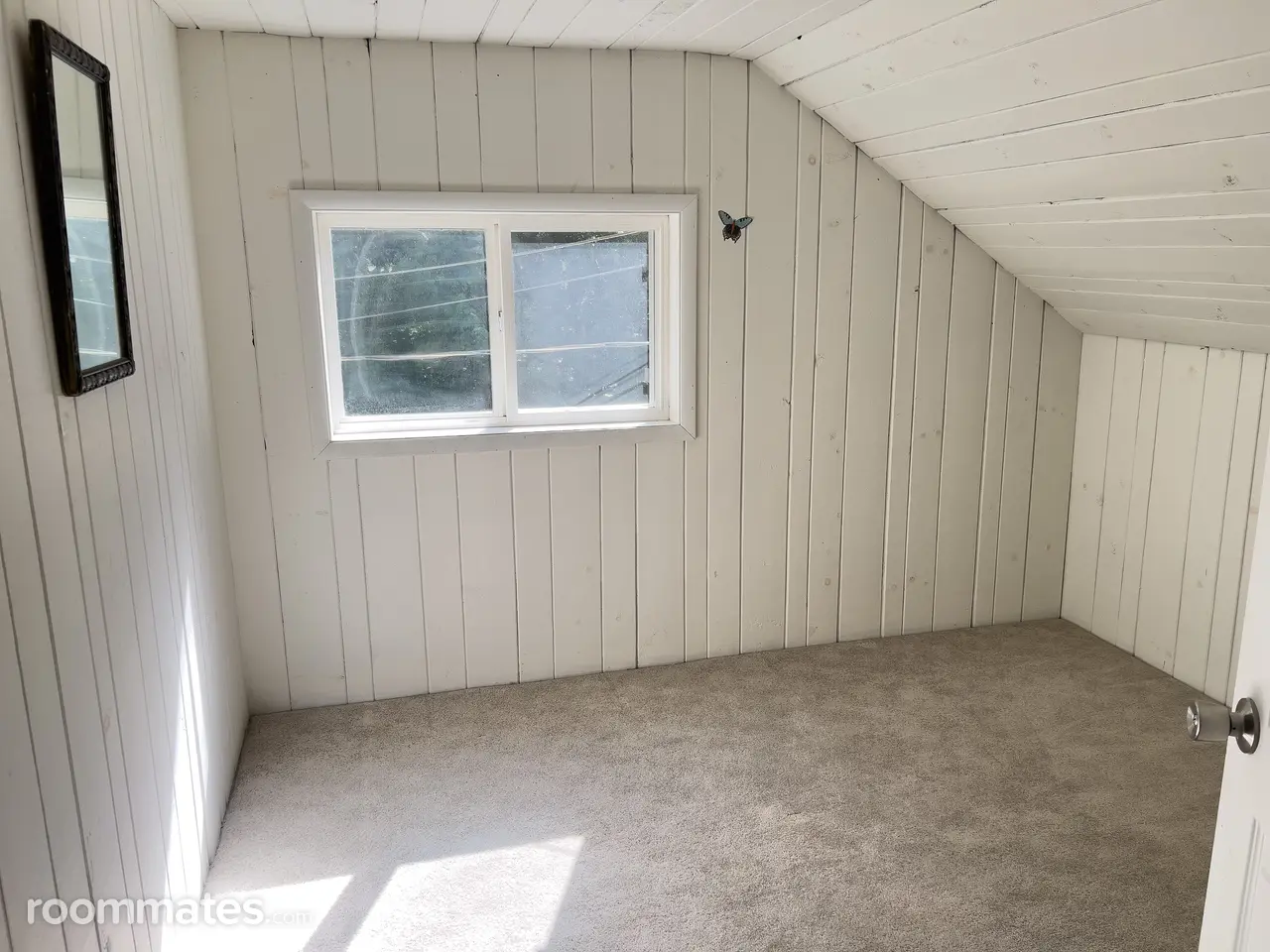 Profile photo 7 of 8