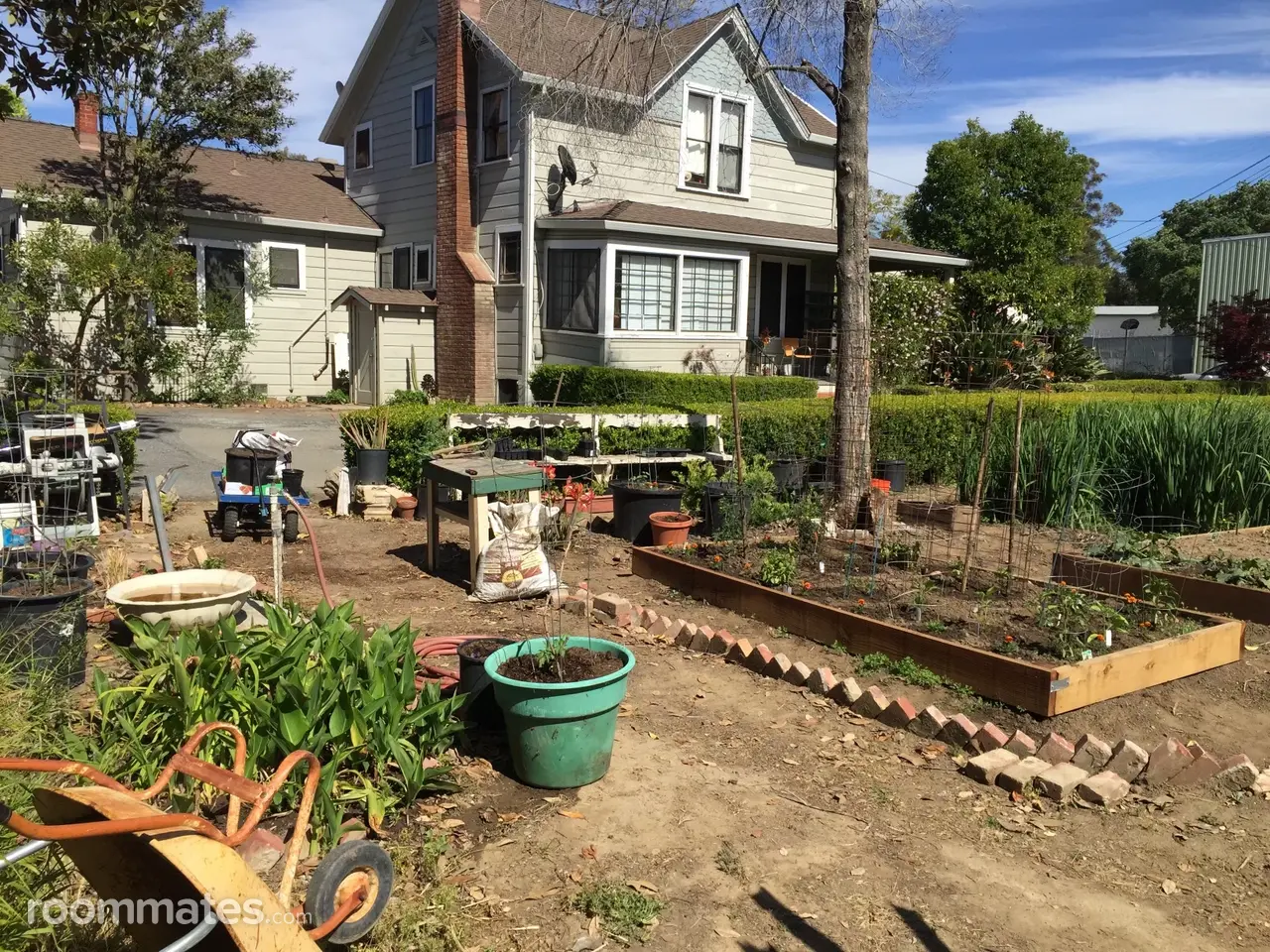 Profile photo 2 of 7