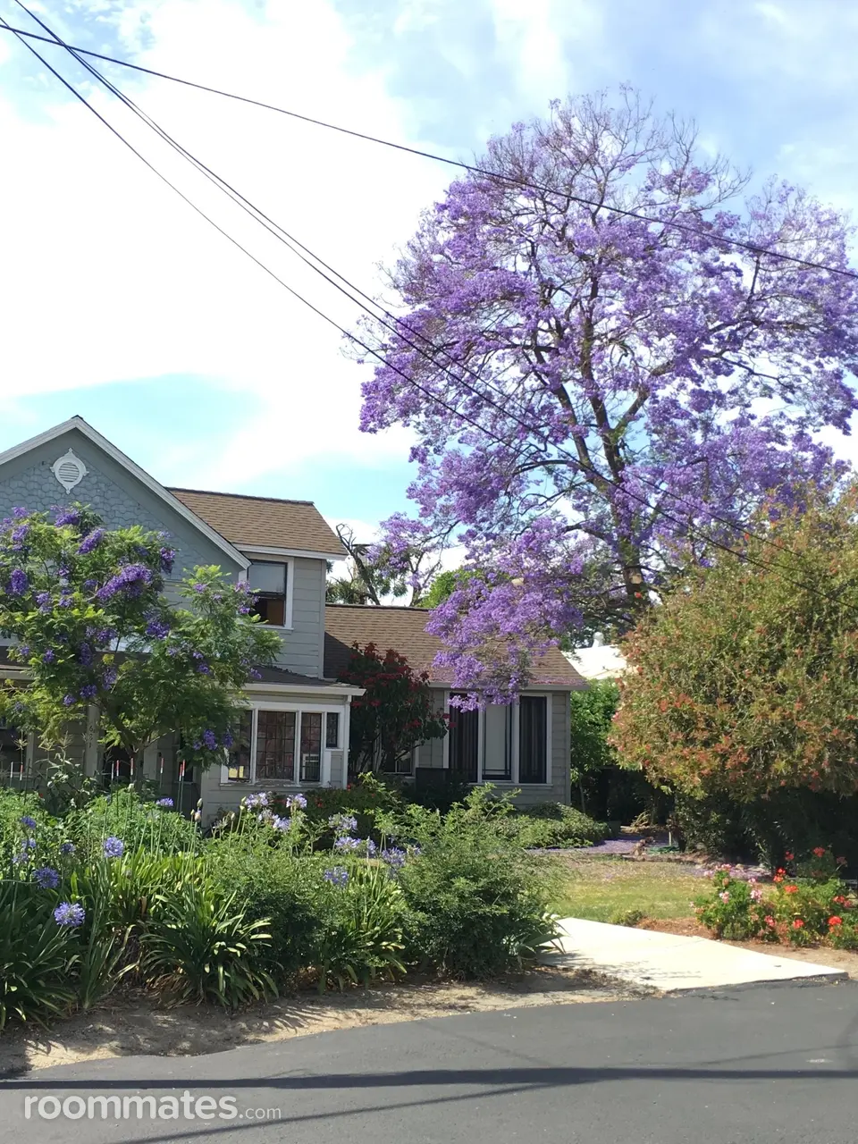 Profile photo 1 of 7