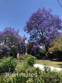 Room for rent in San Jose, CA $1200, house