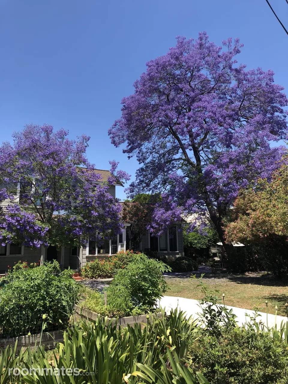 Profile photo 4 of 7