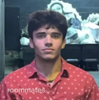 Roommate looking Grand Rapids, MI, $800