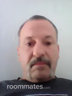 Roommate looking Jacksonville, FL, $700