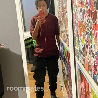 Roommate looking Copperas Cove, TX, $700