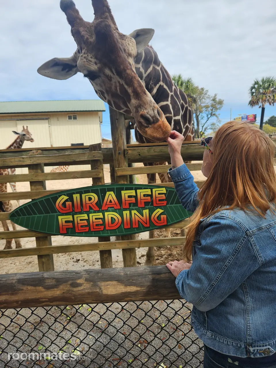 Profile photo 7 of 11