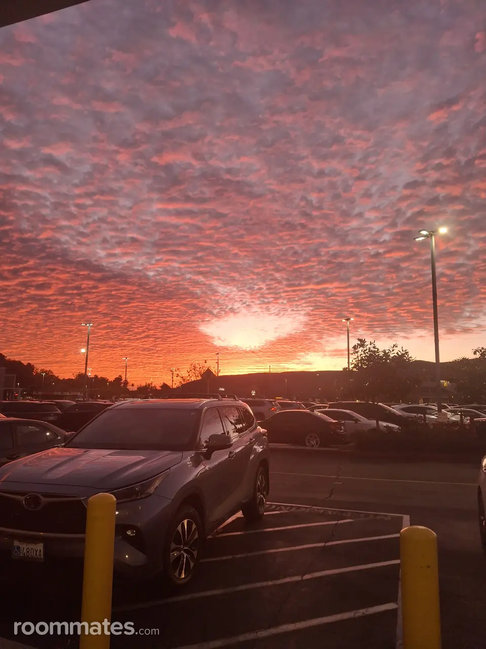 Profile photo 1 of 1