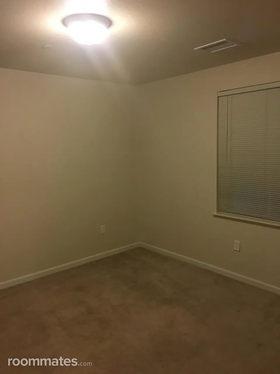 Profile photo 9 of 11