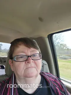 Roommate looking Goose Creek, SC, $700