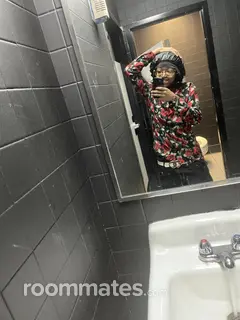 Roommate looking Chicago, IL, $400