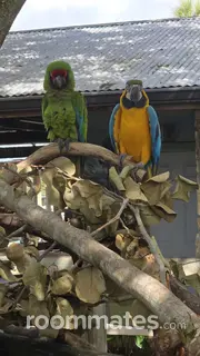 Roommate looking Vineland, NJ, $800