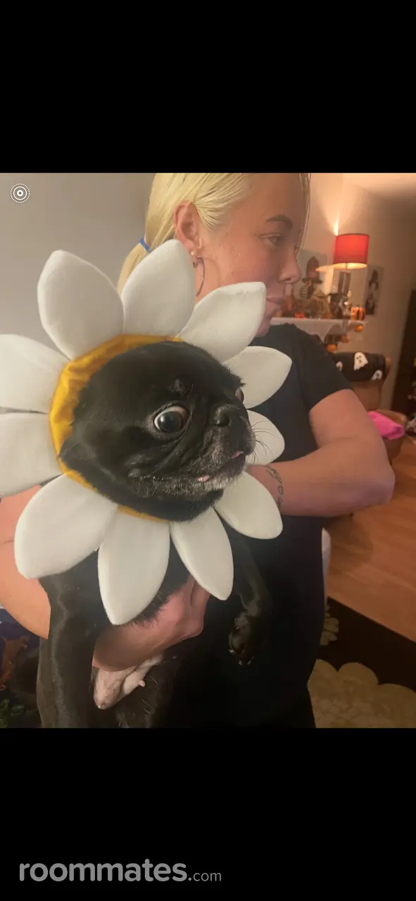 Profile photo 1 of 8