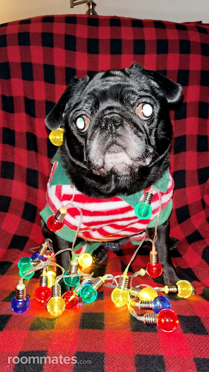 Profile photo 5 of 8