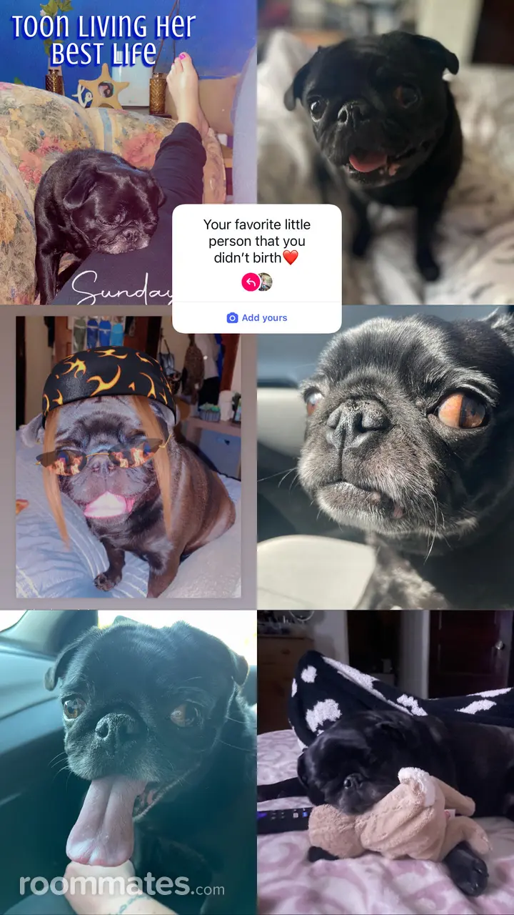 Profile photo 3 of 8