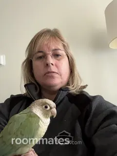 Roommate looking Lititz, PA, $700