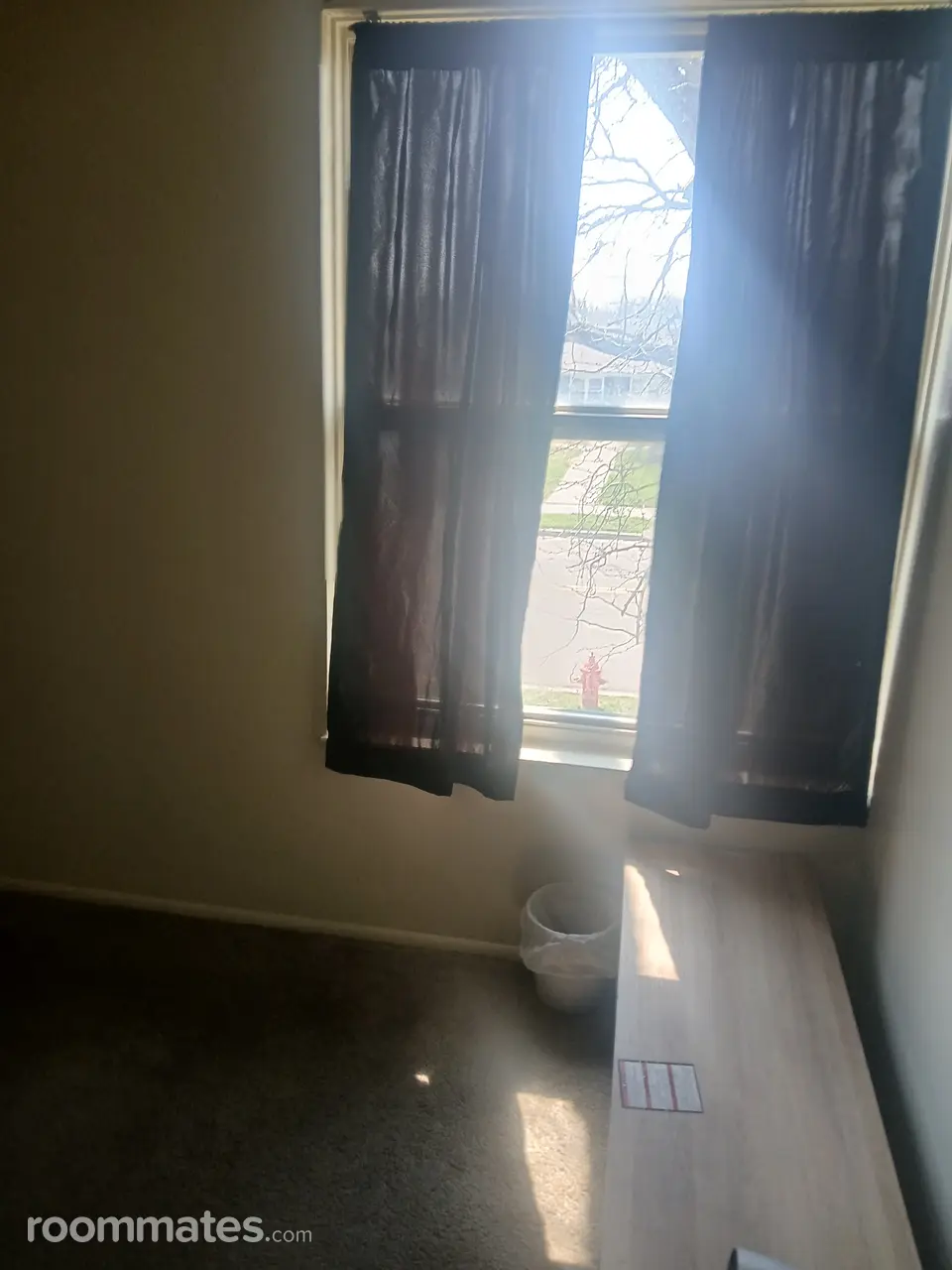 Profile photo 6 of 11