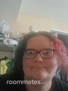 Roommate looking Denver, CO, $500