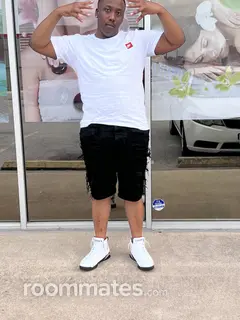 Roommate looking St. Louis, MO, $500