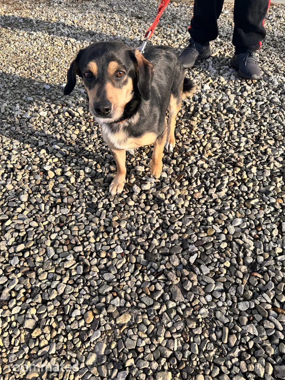 Profile photo 5 of 7