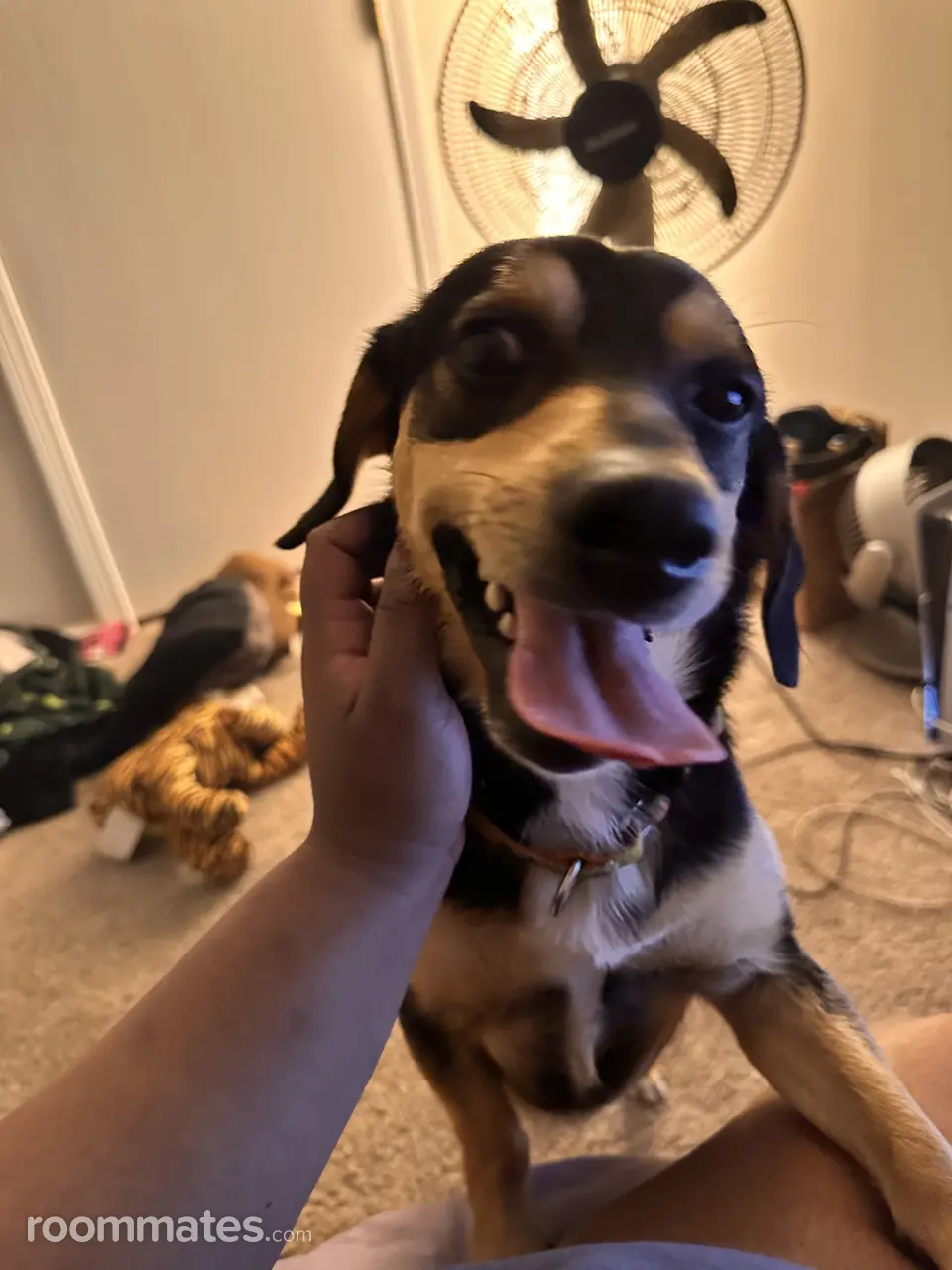 Profile photo 4 of 7