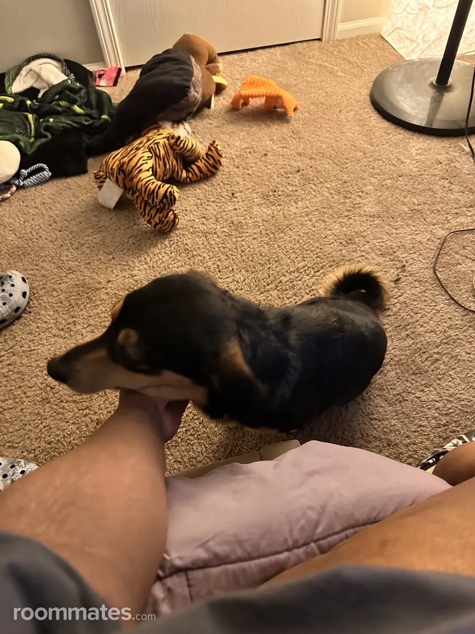 Profile photo 3 of 7