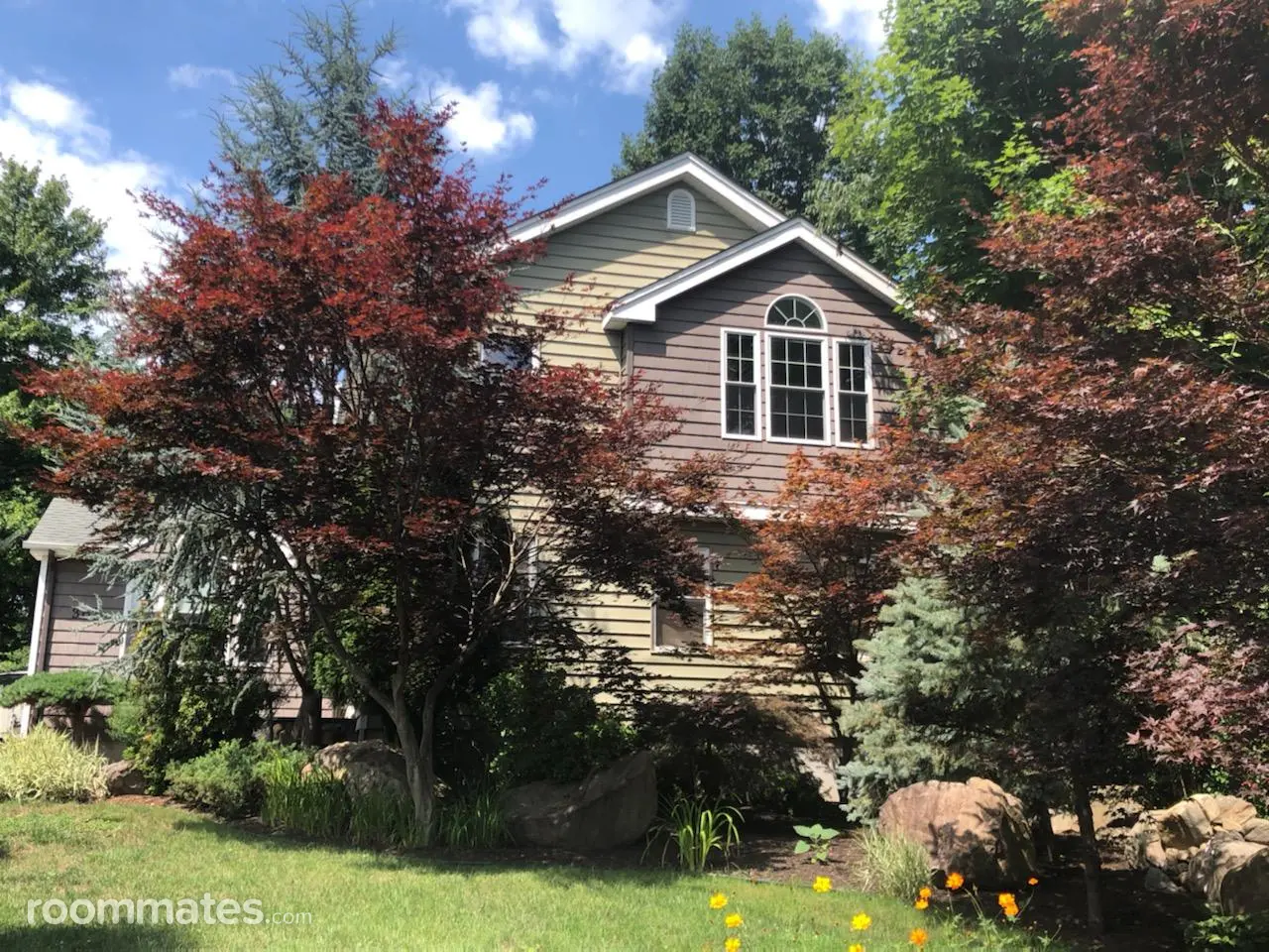 Profile photo 10 of 11