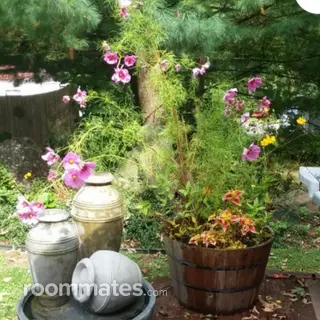 Room for rent in West Milford, NJ $1150, house