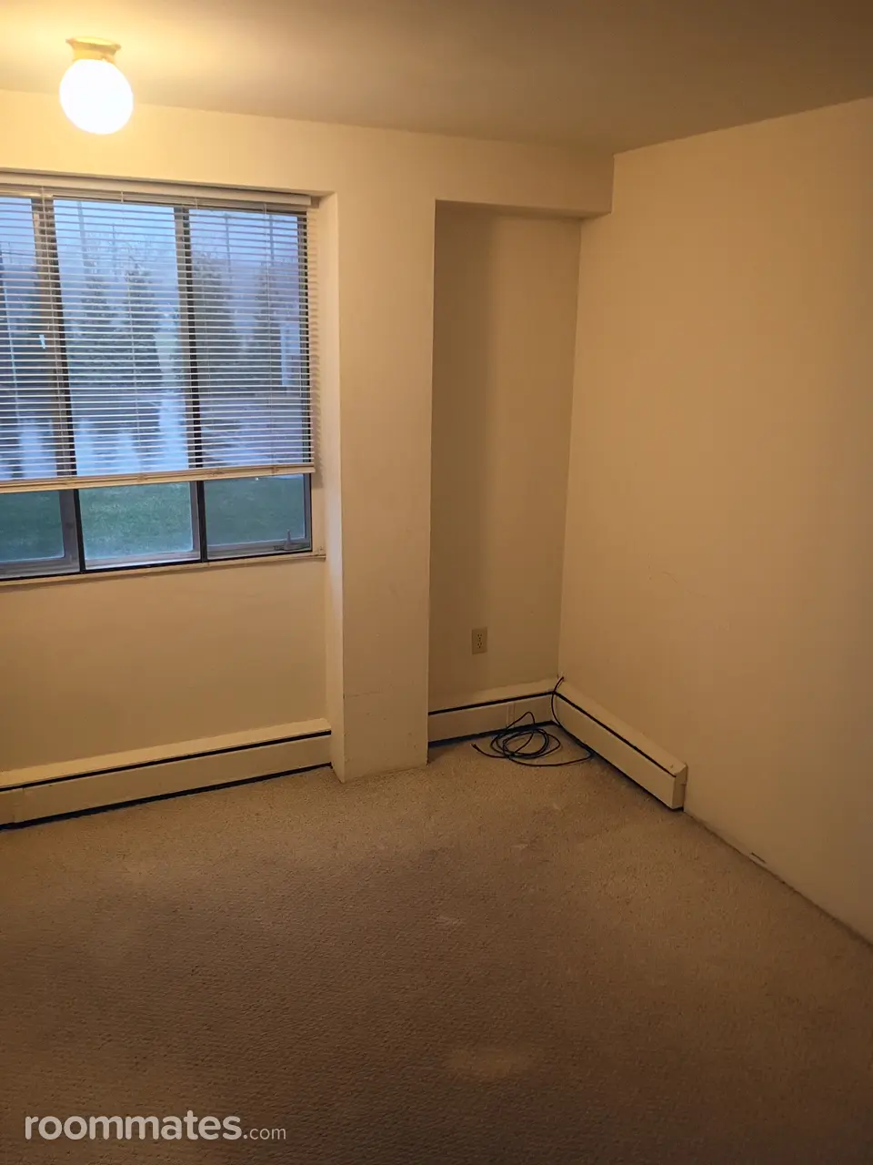 Profile photo 7 of 9