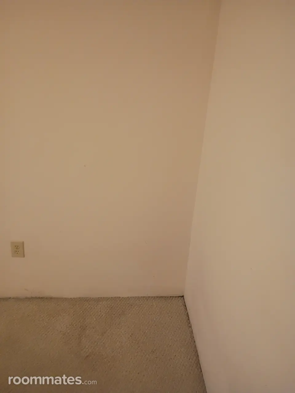 Profile photo 2 of 9