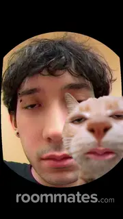 Roommate looking Romeoville, IL, $600