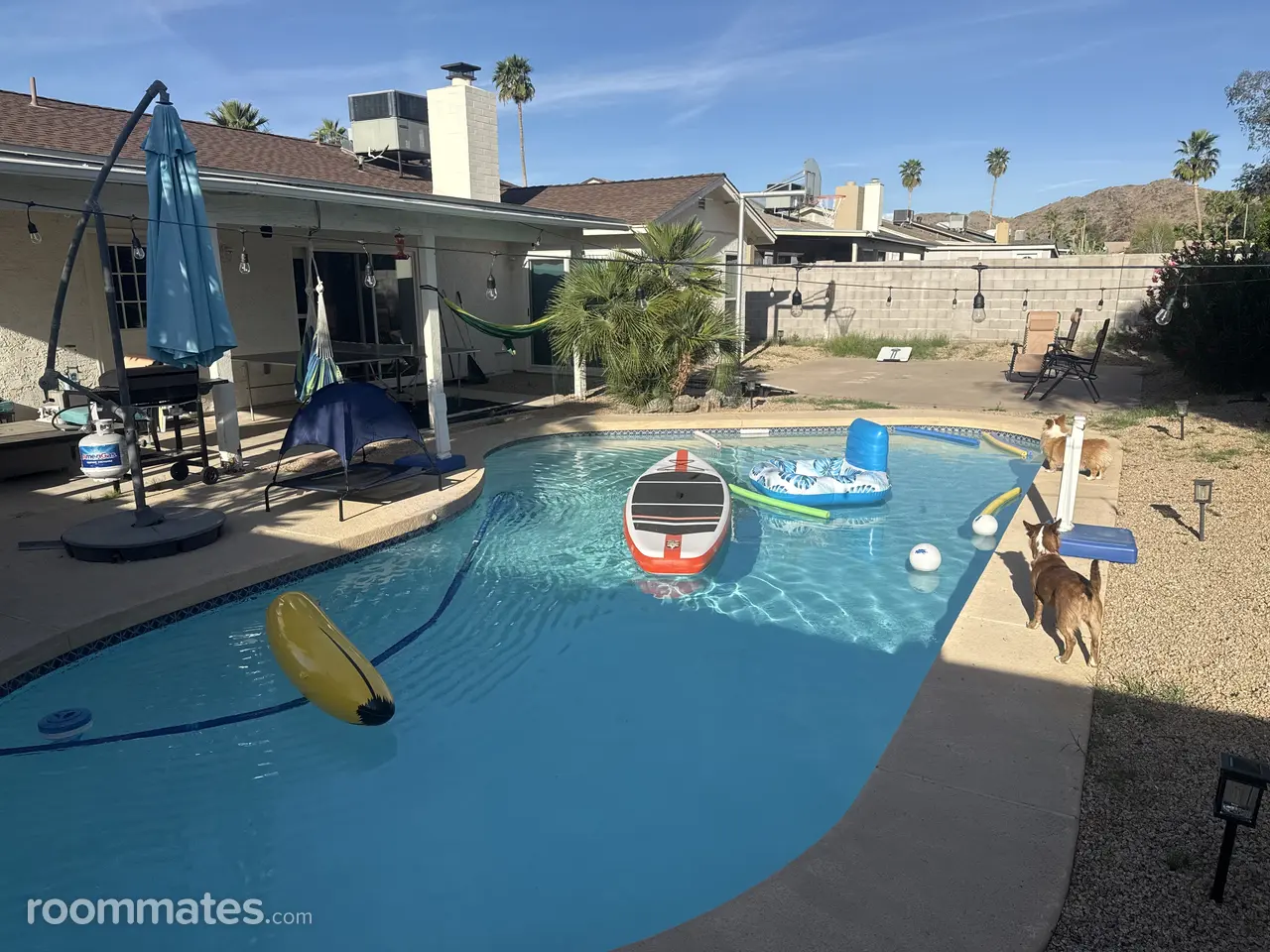 Profile photo 6 of 8