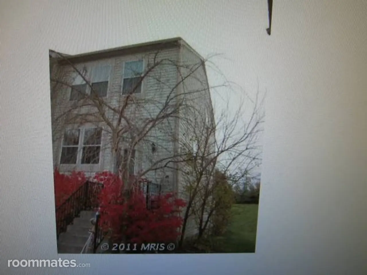 Profile photo 4 of 6