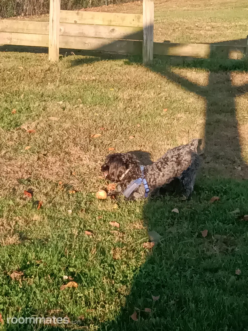 Profile photo 2 of 3