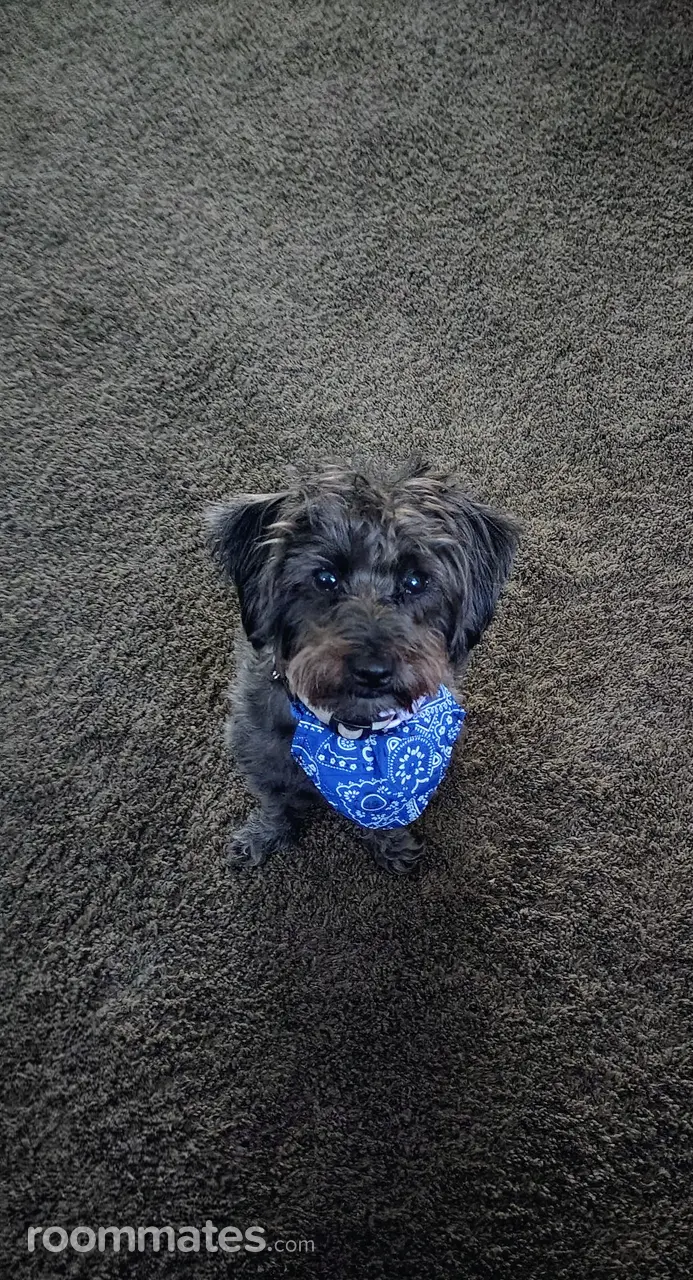 Profile photo 3 of 3