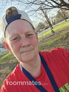 Roommate looking Louisville, KY, $800