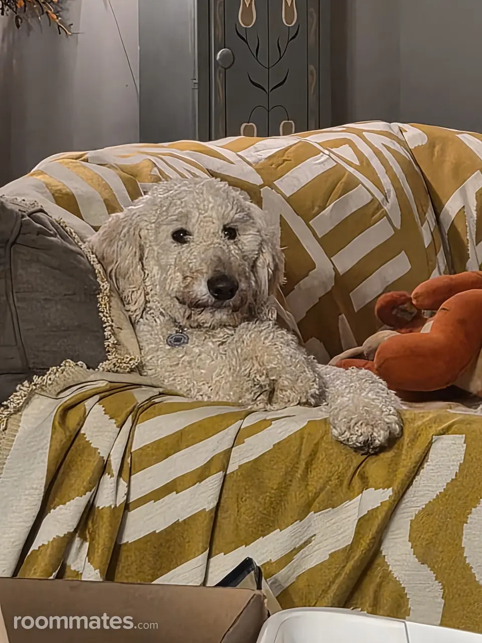 Profile photo 5 of 7