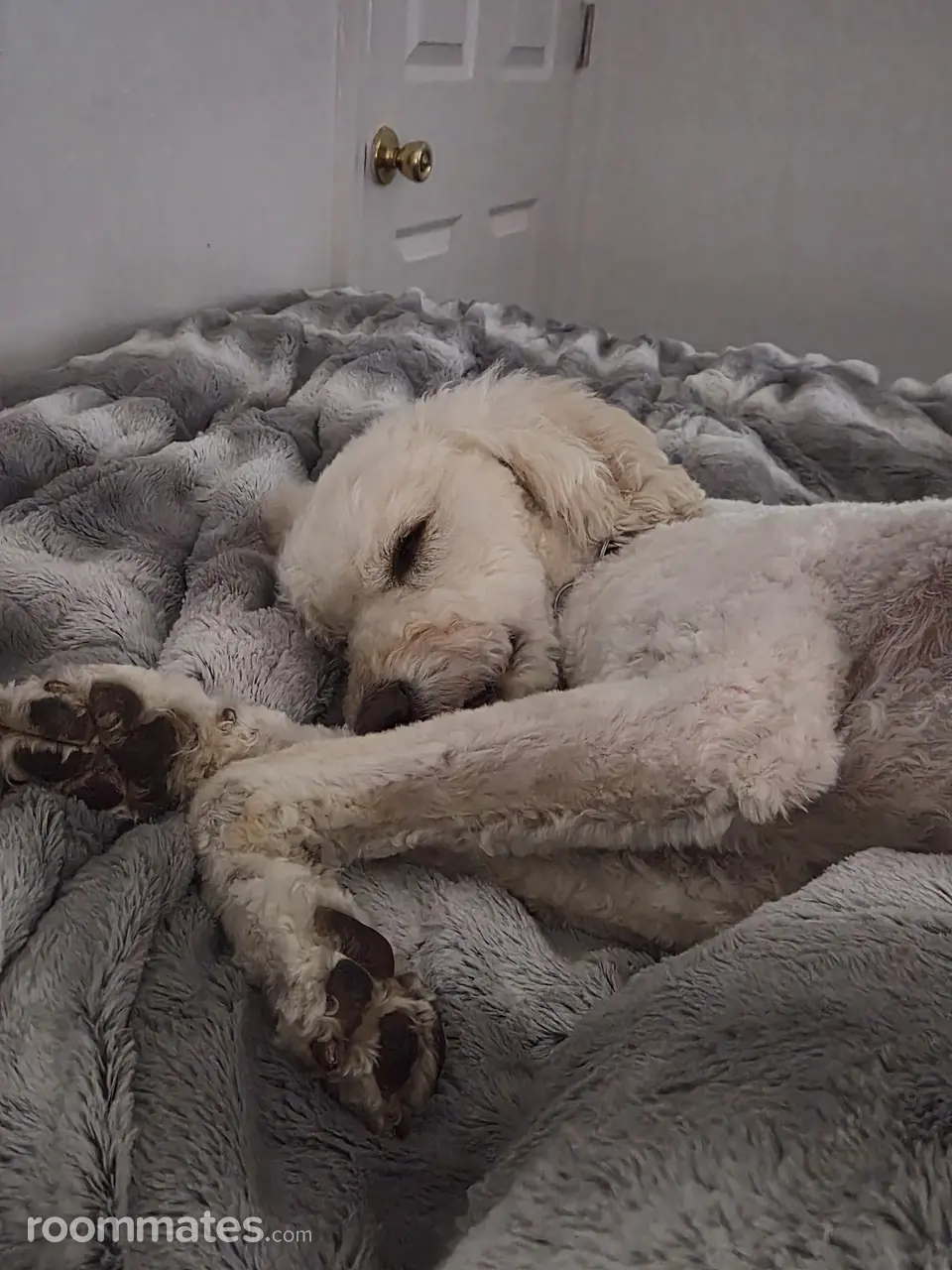 Profile photo 4 of 7